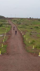 Freedom of the countryside